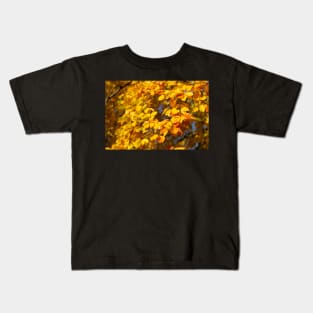 Autumn leaves, leaf color, beech, tree Kids T-Shirt